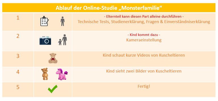 Online-StudieAblauf_Info_17-8-20.JPG